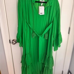 Íris Apfel X H&M Bright Green Dress